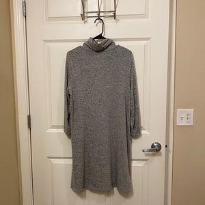 Turtle neck sweater dress